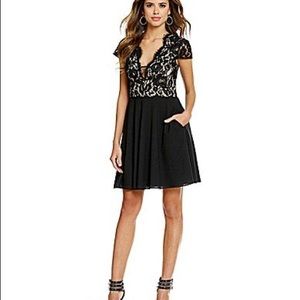Gianni Bini | Elise Scalloped Lace Cocktail Dress